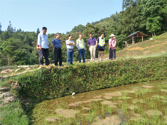 目前,在柳州市渔业技术推广站螺蛳养殖专家文衍红及其团队的指导下